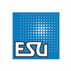 ESU LokSound 5 8PIN Decoder with a STEAM LOCO sound of your choice.