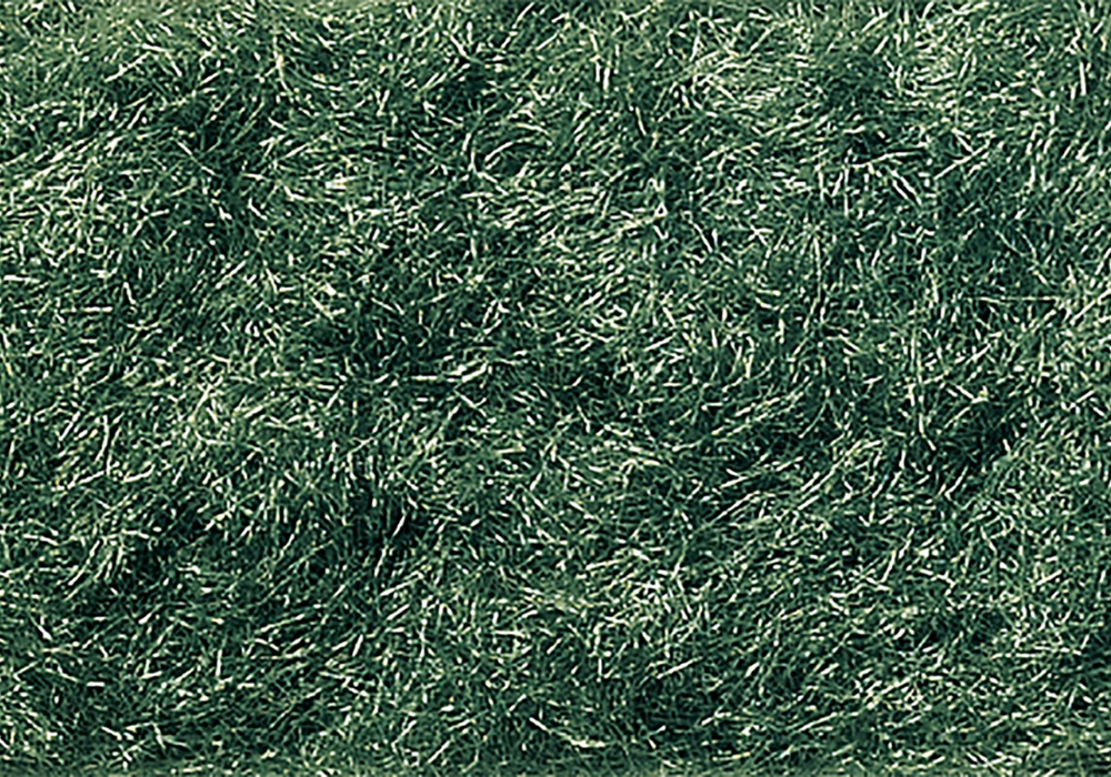 Woodland Scenics WFL636 Dark Green Flock - Image 4